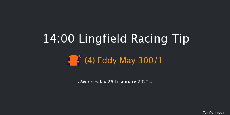 Lingfield 14:00 Stakes (Class 5) 7f Tue 25th Jan 2022