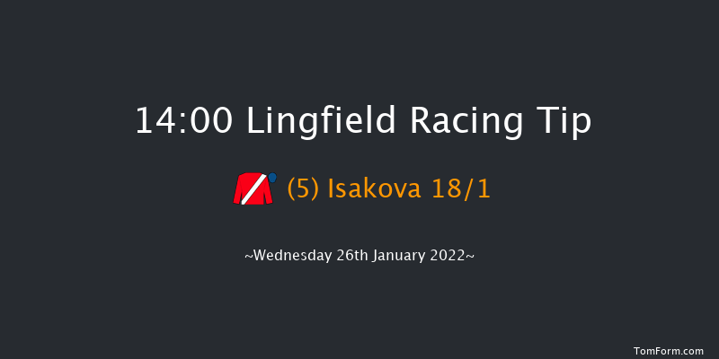 Lingfield 14:00 Stakes (Class 5) 7f Tue 25th Jan 2022