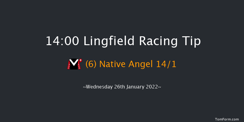 Lingfield 14:00 Stakes (Class 5) 7f Tue 25th Jan 2022