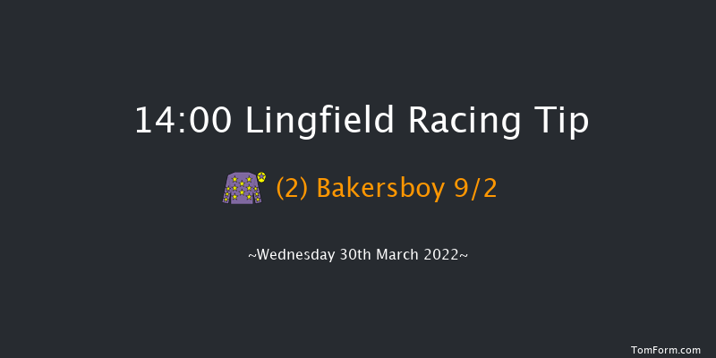 Lingfield 14:00 Stakes (Class 5) 10f Sat 12th Mar 2022