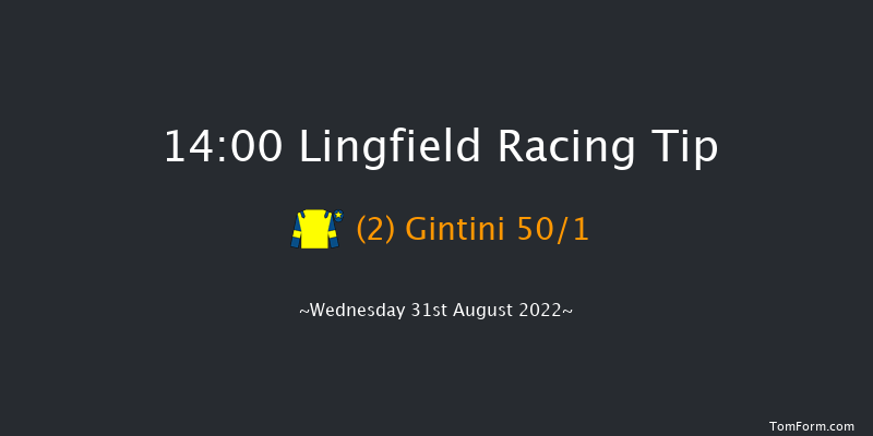 Lingfield 14:00 Stakes (Class 5) 5f Wed 24th Aug 2022