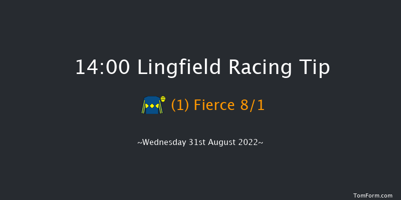 Lingfield 14:00 Stakes (Class 5) 5f Wed 24th Aug 2022