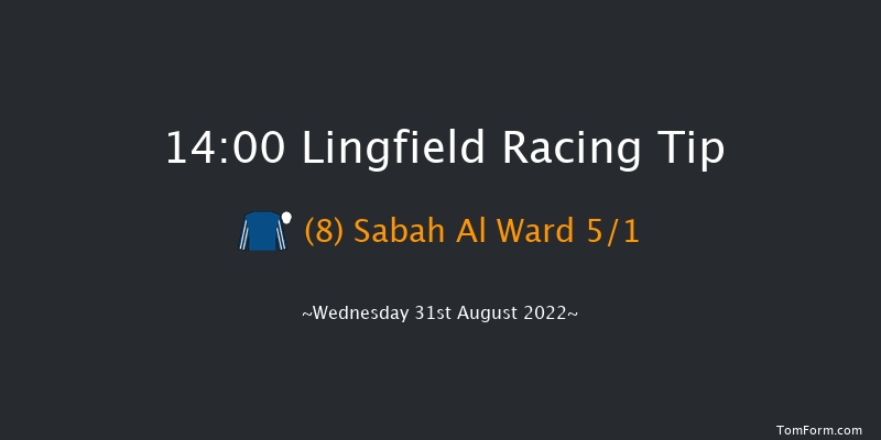 Lingfield 14:00 Stakes (Class 5) 5f Wed 24th Aug 2022