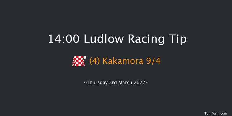 Ludlow 14:00 Handicap Chase (Class 3) 20f Wed 23rd Feb 2022