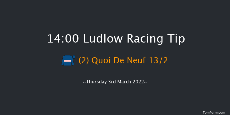 Ludlow 14:00 Handicap Chase (Class 3) 20f Wed 23rd Feb 2022