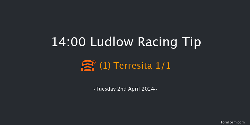 Ludlow  14:00 Handicap Chase (Class 4) 20f Thu 21st Mar 2024