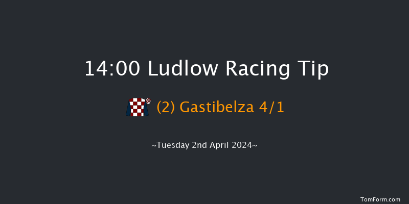 Ludlow  14:00 Handicap Chase (Class 4) 20f Thu 21st Mar 2024