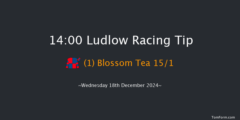 Ludlow  14:00 Conditions Hurdle (Class 4) 16f Wed 4th Dec 2024