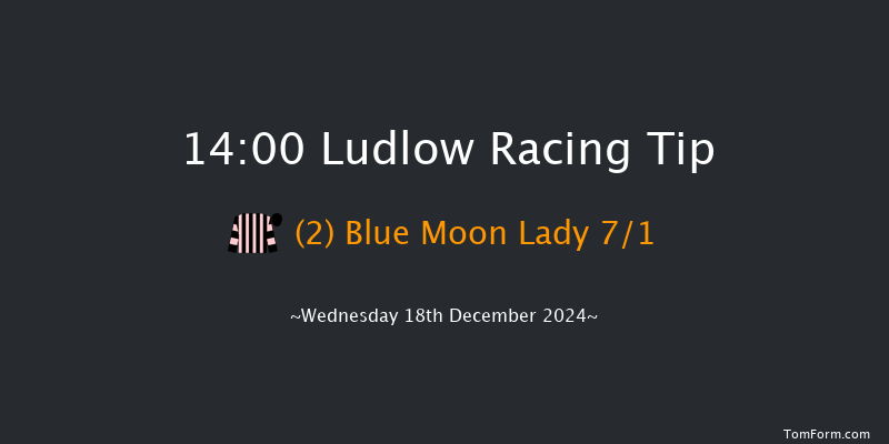 Ludlow  14:00 Conditions Hurdle (Class 4) 16f Wed 4th Dec 2024