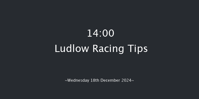 Ludlow  14:00 Conditions Hurdle (Class 4) 16f Wed 4th Dec 2024