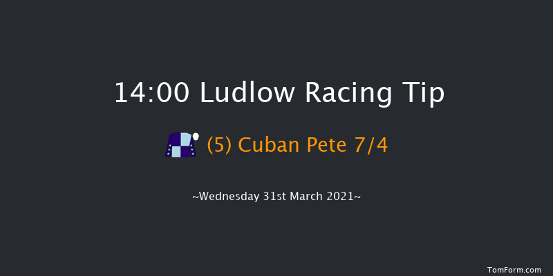 Boyne Cup (Handicap Chase) Ludlow 14:00 Handicap Chase (Class 3) 24f Thu 25th Mar 2021