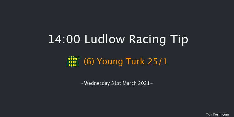 Boyne Cup (Handicap Chase) Ludlow 14:00 Handicap Chase (Class 3) 24f Thu 25th Mar 2021