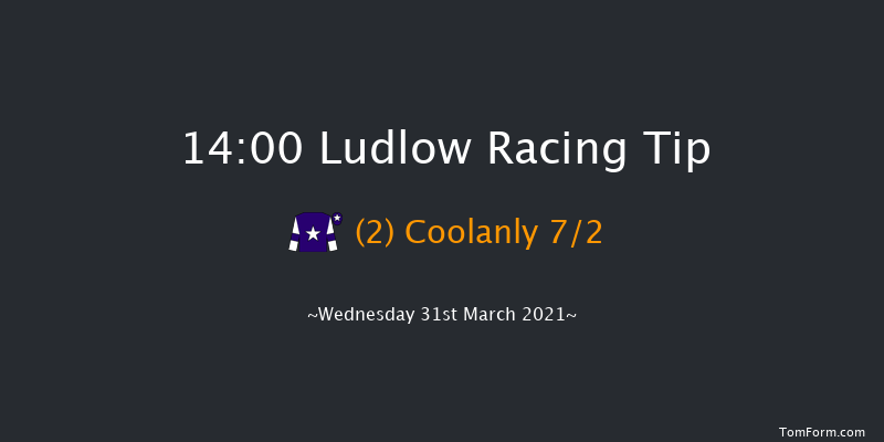 Boyne Cup (Handicap Chase) Ludlow 14:00 Handicap Chase (Class 3) 24f Thu 25th Mar 2021