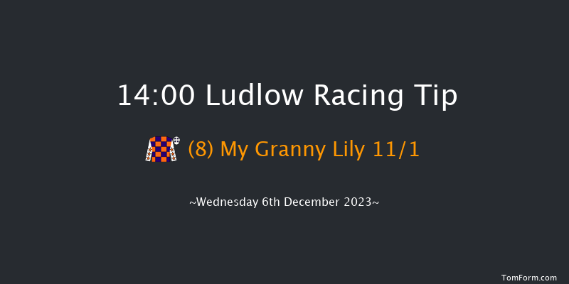 Ludlow 14:00 Handicap Chase (Class 5) 20f Mon 27th Nov 2023