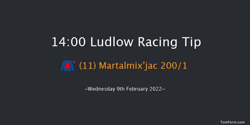 Ludlow 14:00 Maiden Hurdle (Class 4) 16f Thu 20th Jan 2022