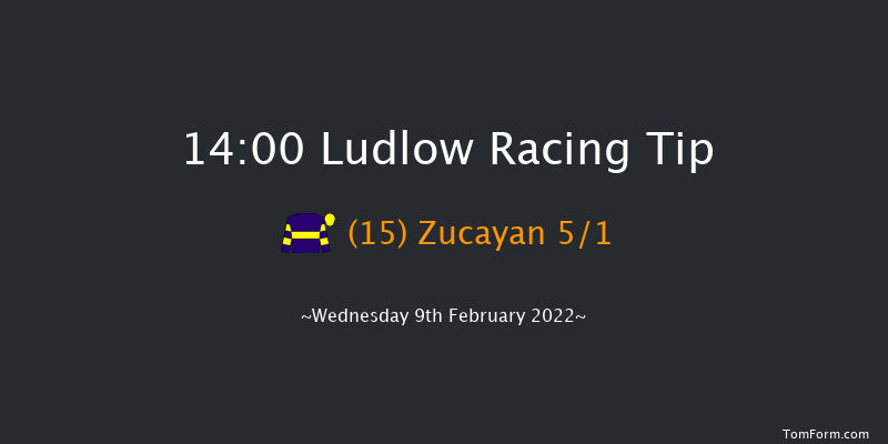 Ludlow 14:00 Maiden Hurdle (Class 4) 16f Thu 20th Jan 2022