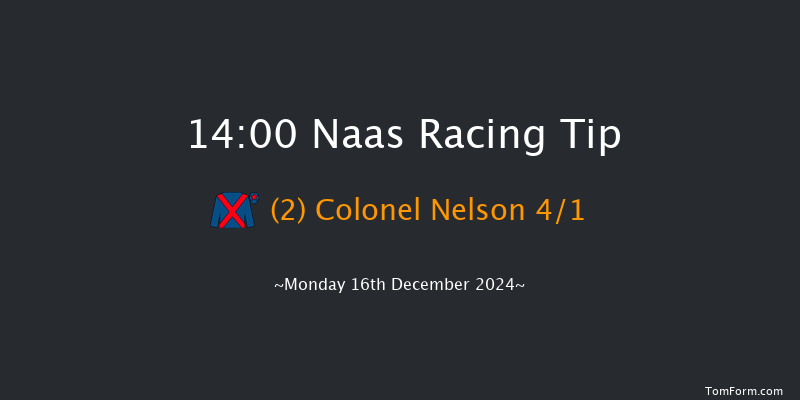 Naas  14:00 Maiden Hurdle 20f Sun 10th Nov 2024