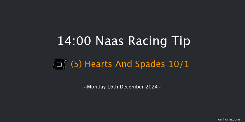 Naas  14:00 Maiden Hurdle 20f Sun 10th Nov 2024