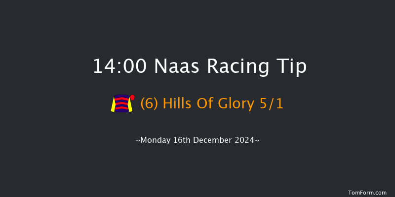 Naas  14:00 Maiden Hurdle 20f Sun 10th Nov 2024