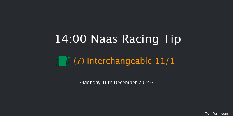 Naas  14:00 Maiden Hurdle 20f Sun 10th Nov 2024