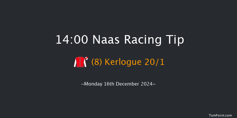 Naas  14:00 Maiden Hurdle 20f Sun 10th Nov 2024