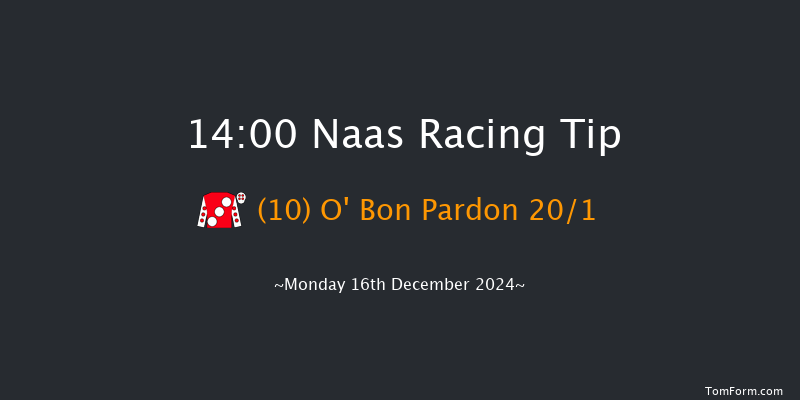 Naas  14:00 Maiden Hurdle 20f Sun 10th Nov 2024