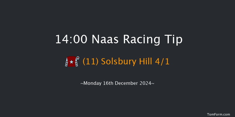 Naas  14:00 Maiden Hurdle 20f Sun 10th Nov 2024