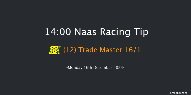 Naas  14:00 Maiden Hurdle 20f Sun 10th Nov 2024