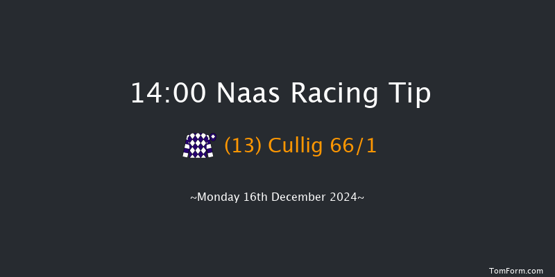 Naas  14:00 Maiden Hurdle 20f Sun 10th Nov 2024