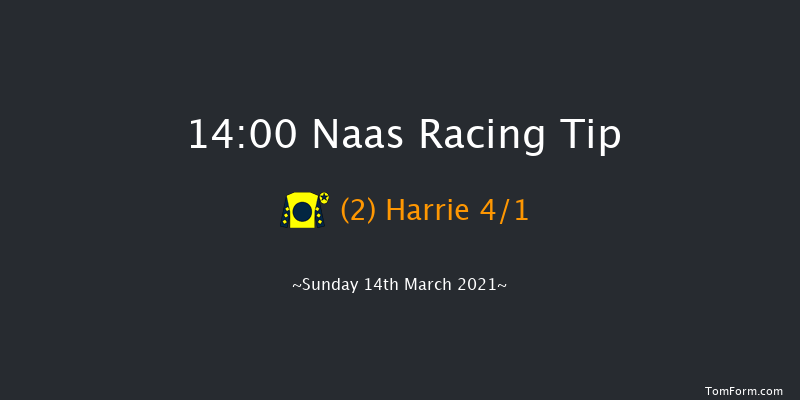 BAR ONE RACING Directors Plate Novice Chase (Grade 3) Naas 14:00 Maiden Chase 20f Sun 28th Feb 2021