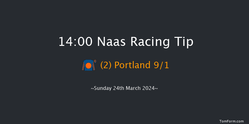 Naas  14:00 Stakes 8f Sun 10th Mar 2024