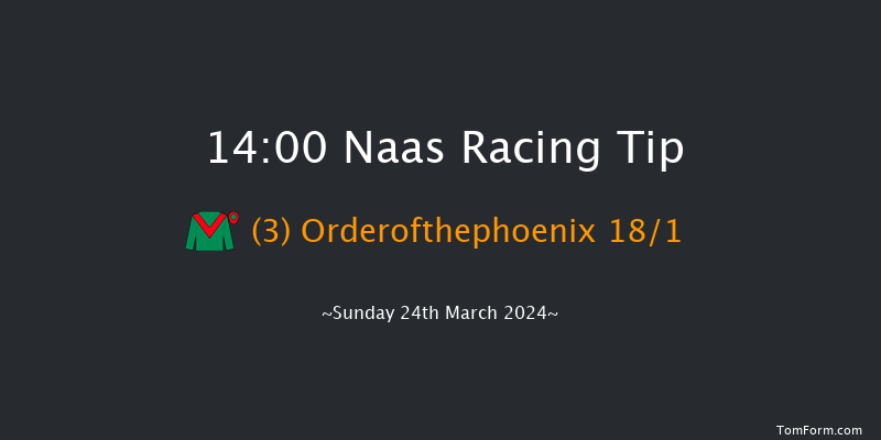 Naas  14:00 Stakes 8f Sun 10th Mar 2024