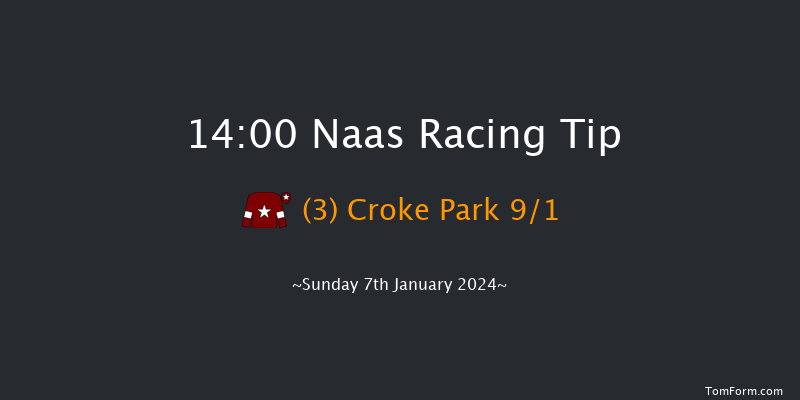 Naas 14:00 Novices Hurdle 20f Thu 14th Dec 2023