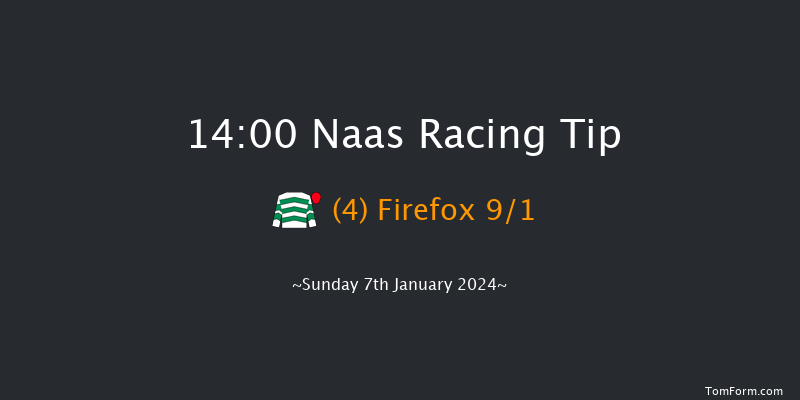 Naas 14:00 Novices Hurdle 20f Thu 14th Dec 2023