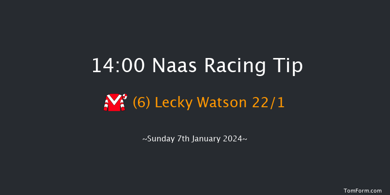 Naas 14:00 Novices Hurdle 20f Thu 14th Dec 2023