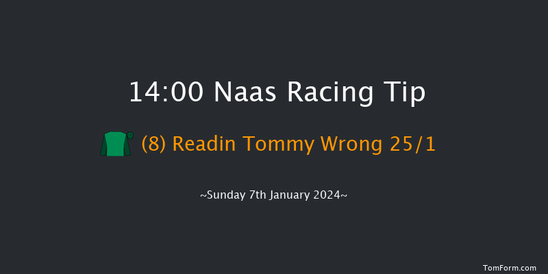 Naas 14:00 Novices Hurdle 20f Thu 14th Dec 2023