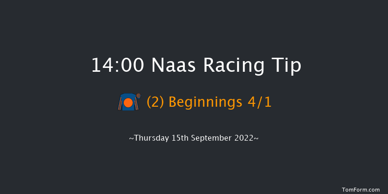 Naas 14:00 Maiden 6f Sun 21st Aug 2022