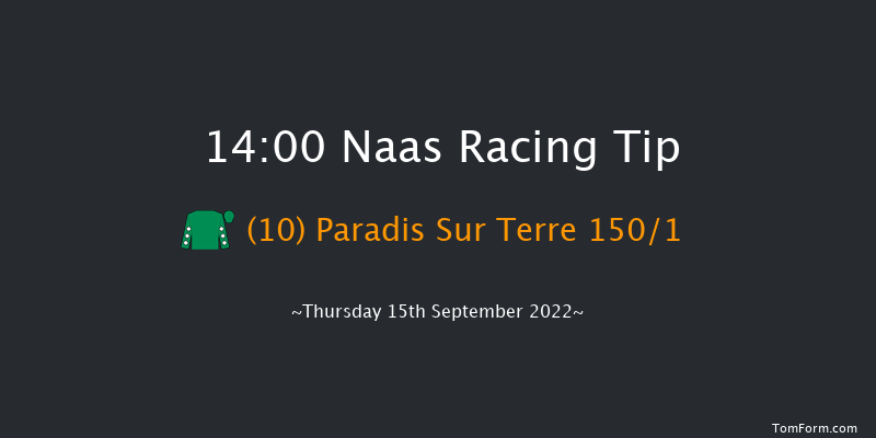 Naas 14:00 Maiden 6f Sun 21st Aug 2022