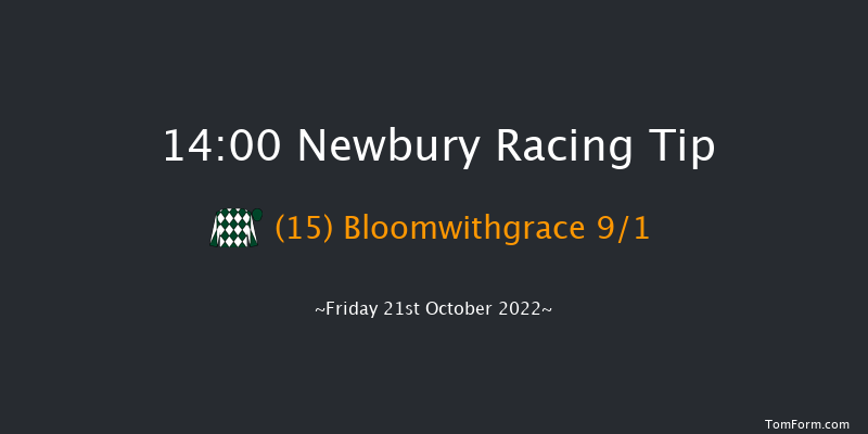 Newbury 14:00 Stakes (Class 4) 8f Sat 17th Sep 2022