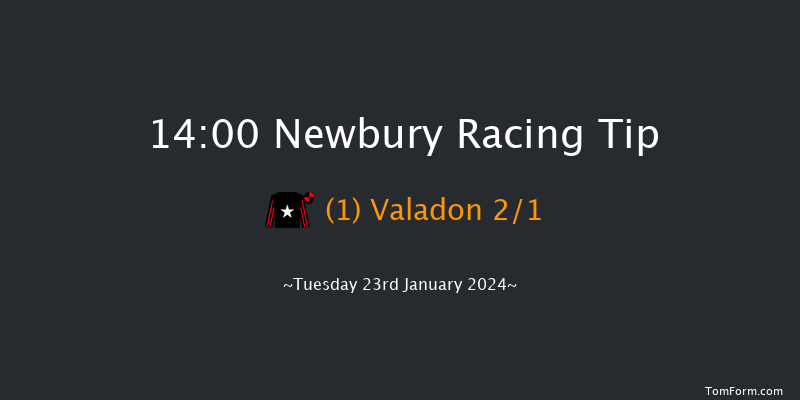 Newbury 14:00 Conditions
Hurdle (Class 3) 16f Sat 30th Dec 2023