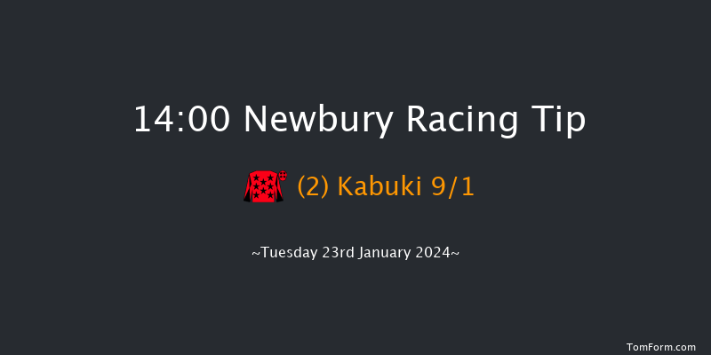 Newbury 14:00 Conditions
Hurdle (Class 3) 16f Sat 30th Dec 2023