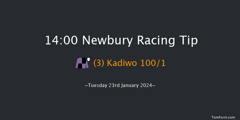 Newbury 14:00 Conditions
Hurdle (Class 3) 16f Sat 30th Dec 2023