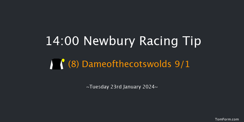 Newbury 14:00 Conditions
Hurdle (Class 3) 16f Sat 30th Dec 2023