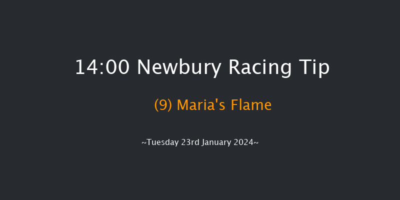 Newbury 14:00 Conditions
Hurdle (Class 3) 16f Sat 30th Dec 2023