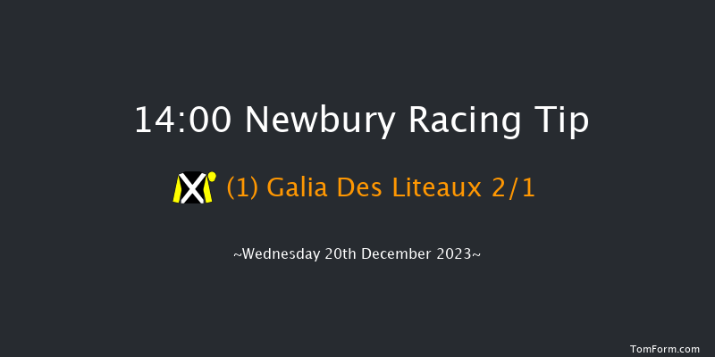 Newbury 14:00 Conditions Chase (Class 1) 23f Sat 2nd Dec 2023