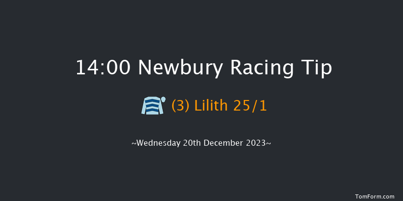 Newbury 14:00 Conditions Chase (Class 1) 23f Sat 2nd Dec 2023