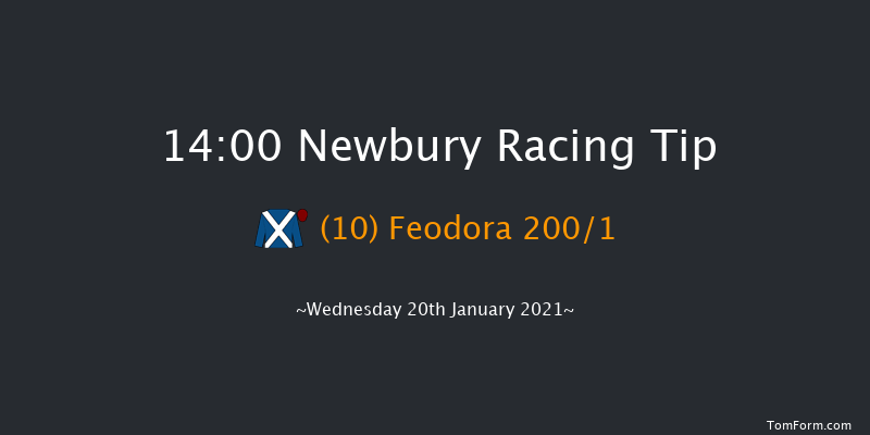 British EBF Mares' 'National Hunt' Novices' Hurdle Newbury 14:00 Maiden Hurdle (Class 4) 20f Tue 29th Dec 2020