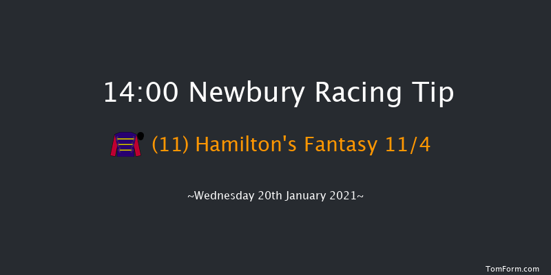 British EBF Mares' 'National Hunt' Novices' Hurdle Newbury 14:00 Maiden Hurdle (Class 4) 20f Tue 29th Dec 2020