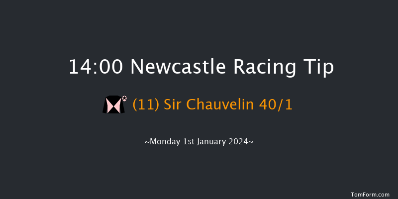 Newcastle 14:00 Handicap (Class 2) 16f Thu 28th Dec 2023