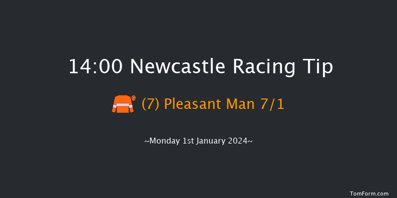 Newcastle 14:00 Handicap (Class 2) 16f Thu 28th Dec 2023